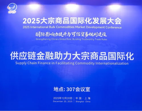 供應鏈金融賦能大宗商品國際化 2025年大會平行活動聚焦信息技術咨詢服務